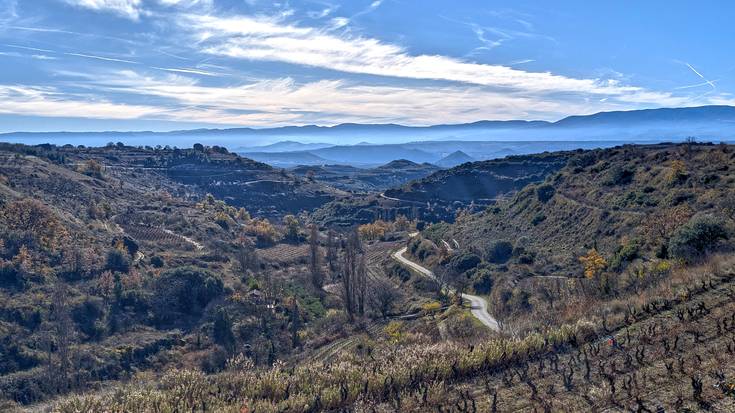 Itxura aldatu asmo du