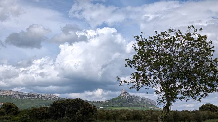 Zer egingo diogu ba…