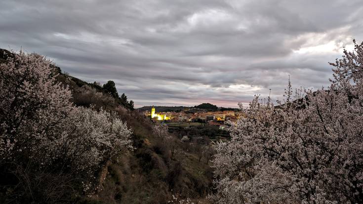 Grisak aldenduko dira