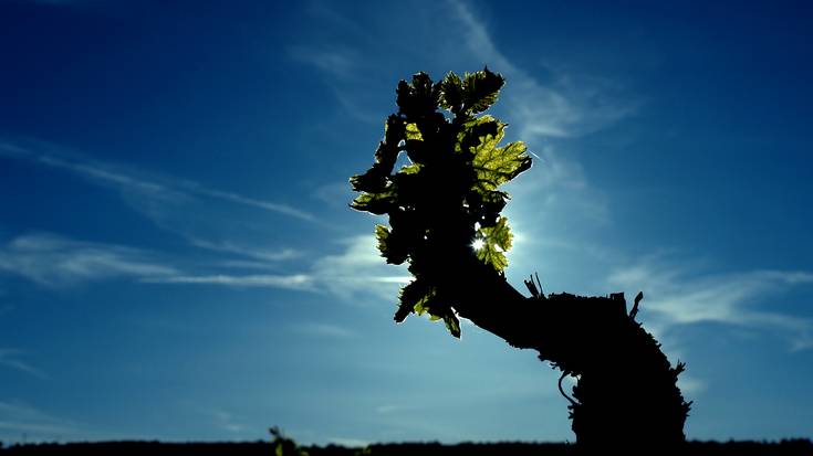 30 gradurainoko aurreikuspena