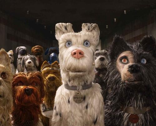 'Isle of dogs'