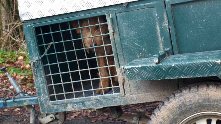 Aldundiak ehizaren aldeko kanpaina egingo du