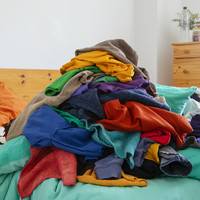 Gauekoak | Zapi biziak