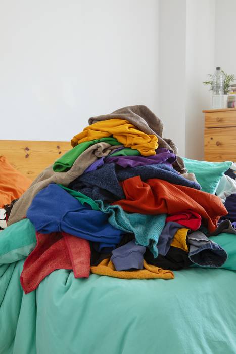 Gauekoak | Zapi biziak