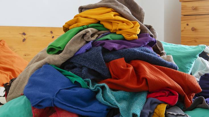 Gauekoak | Zapi biziak