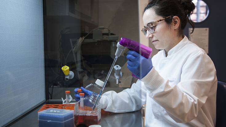 Aloe vera eta nanoteknologia, zauriak zaintzeko