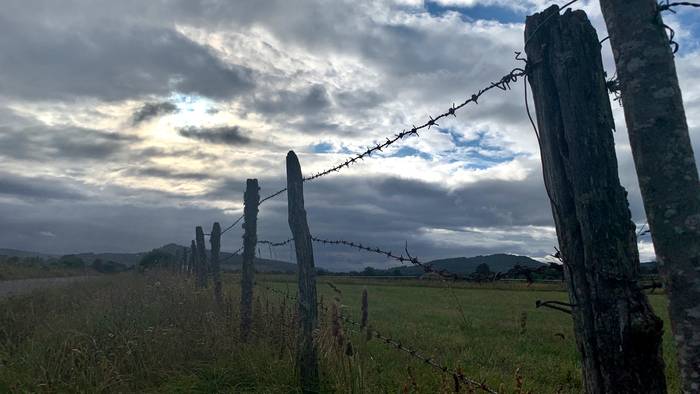 Zuritzeko gogoz dabil