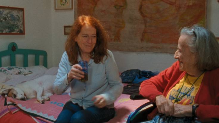 Giza-harremanen behaketa, Rosalind Nashashibiren eskutik