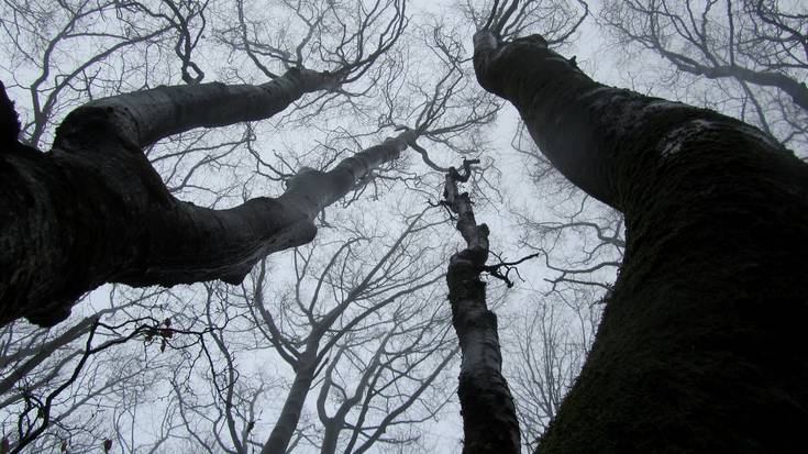 Araba eta Bizkaia arteko Kastillo parke eolikoaren kontrako mobilizazioa iragarri dute