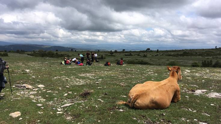 Hiru eguneko ibilaldia solstizioa dantzan ospatzeko