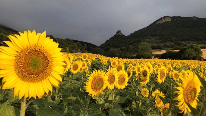 Eguzkitsu, baina hodeiak bueltan
