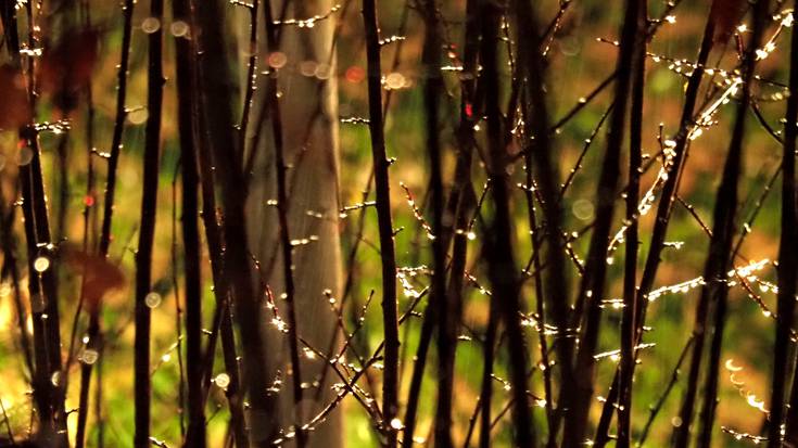 Menia, baina ez idortzeko adinean