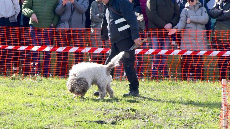 Boilurraren usainak milaka lagun elkartu ditu
