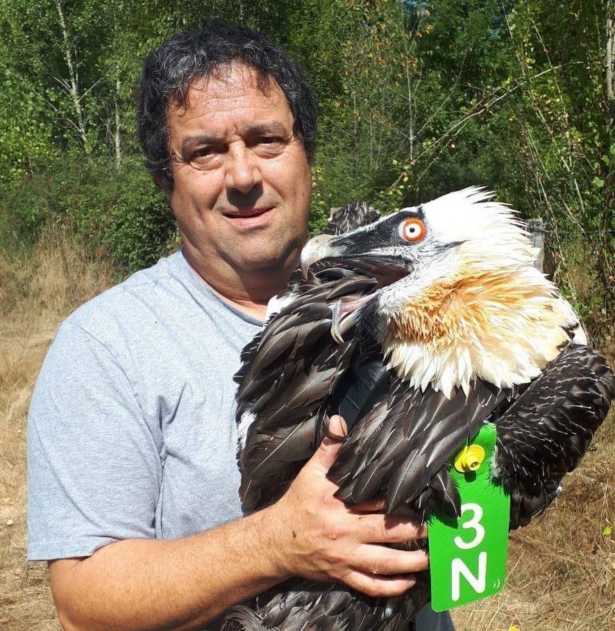 Zauritutako ugatz bat erreskatatu dute Narbaxan, kable elektriko batekin talka egin ostean