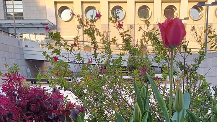 'Naita Kontu eta Kanta' Naita Antzerki taldearekin