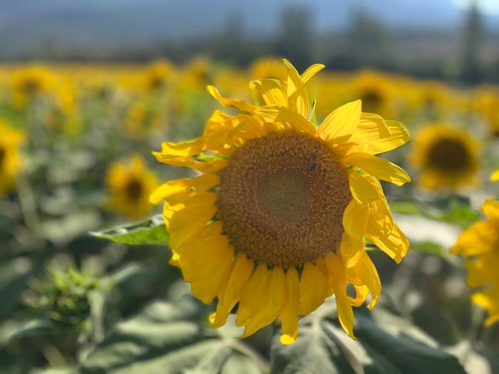 Bero handia, baina aldatzear