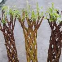 Zumezko lorontzien lantegia