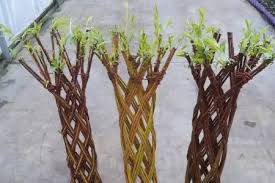 Zumezko lorontzien lantegia