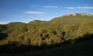 [GEUREKIN MENDIRA] Umandia-Allaitz