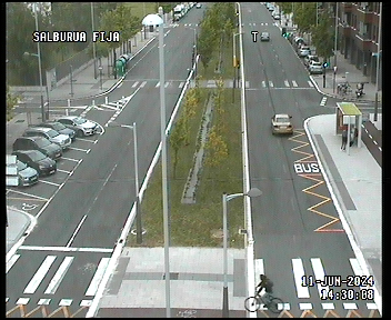 Gasteizko trafiko kameren sistema berrituko du udalak