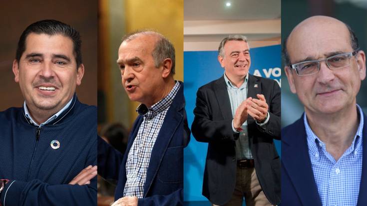 Araban diputatu bana lortu dute PSEk, EH Bilduk, PPk eta EAJk