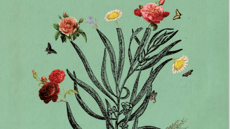 'Hilekoaren zikloaz elkarrekin ikasten'