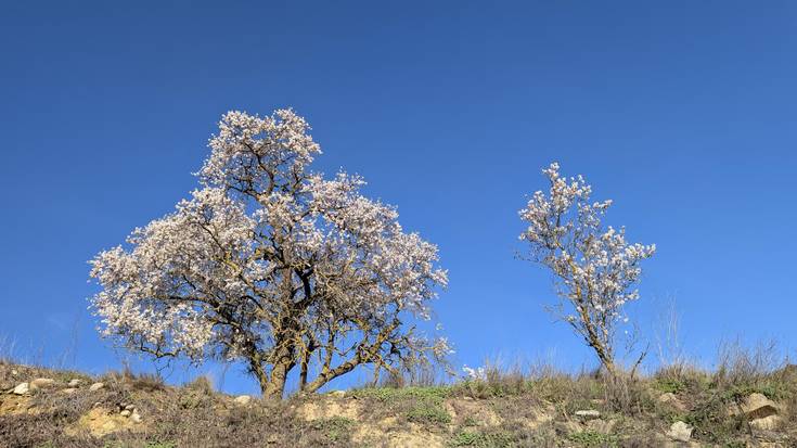 Asteburuko giroaren bidetik