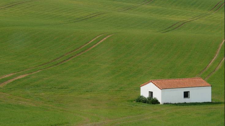 Tipi-tapa, eta orain depresioa
