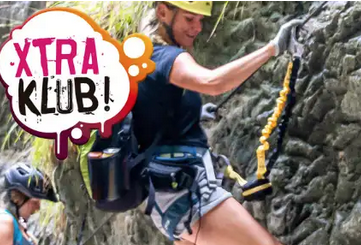 Sobrongo burdinbidea