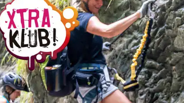 Sobrongo burdinbidea