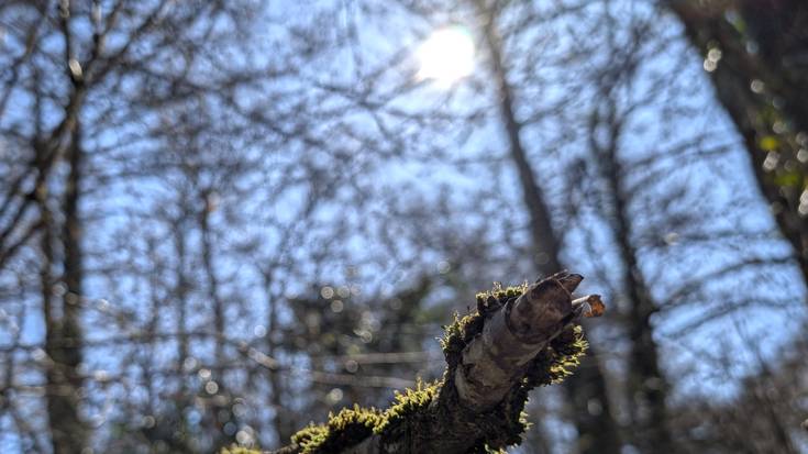 Aldaketaren lehen fasea