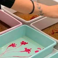 Biomaterialekin esperimentazio zikloa