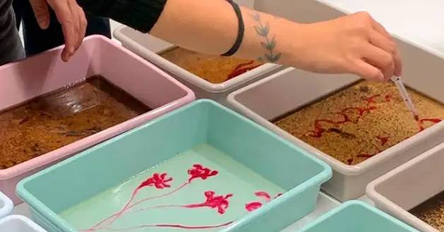 Biomaterialekin esperimentazio zikloa