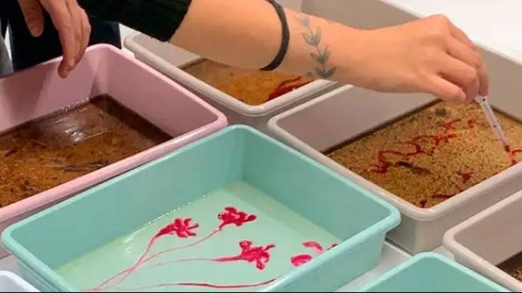 Biomaterialekin esperimentazio zikloa