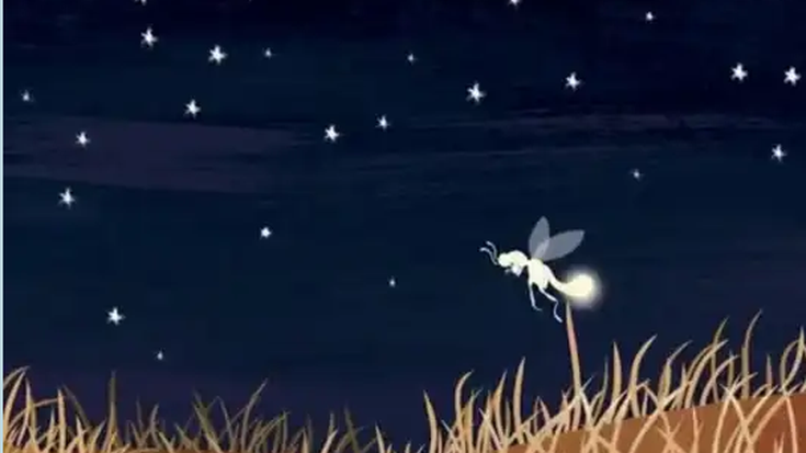 'Mundo'  ipuinaren kontaketa eta tailerra