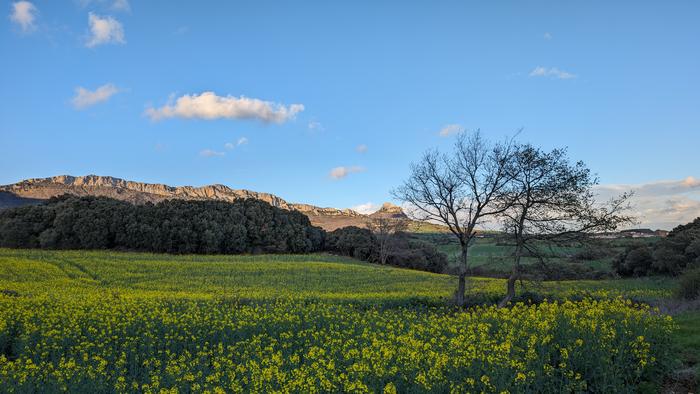 'Toloño' eta 'Kantabria' izendapenek ofizialtasun maila bera izango dute