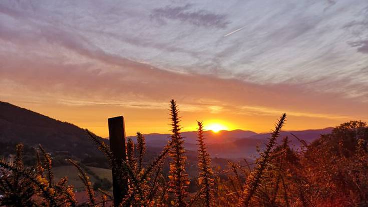 Euriteak pasata, oskarbi abiatuko da astea