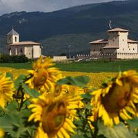 [EUROPAKO ONDARE JARDUNALDIAK] 'Nobleen bizitza Araban: Orgaz eta Varona familien dorreak'