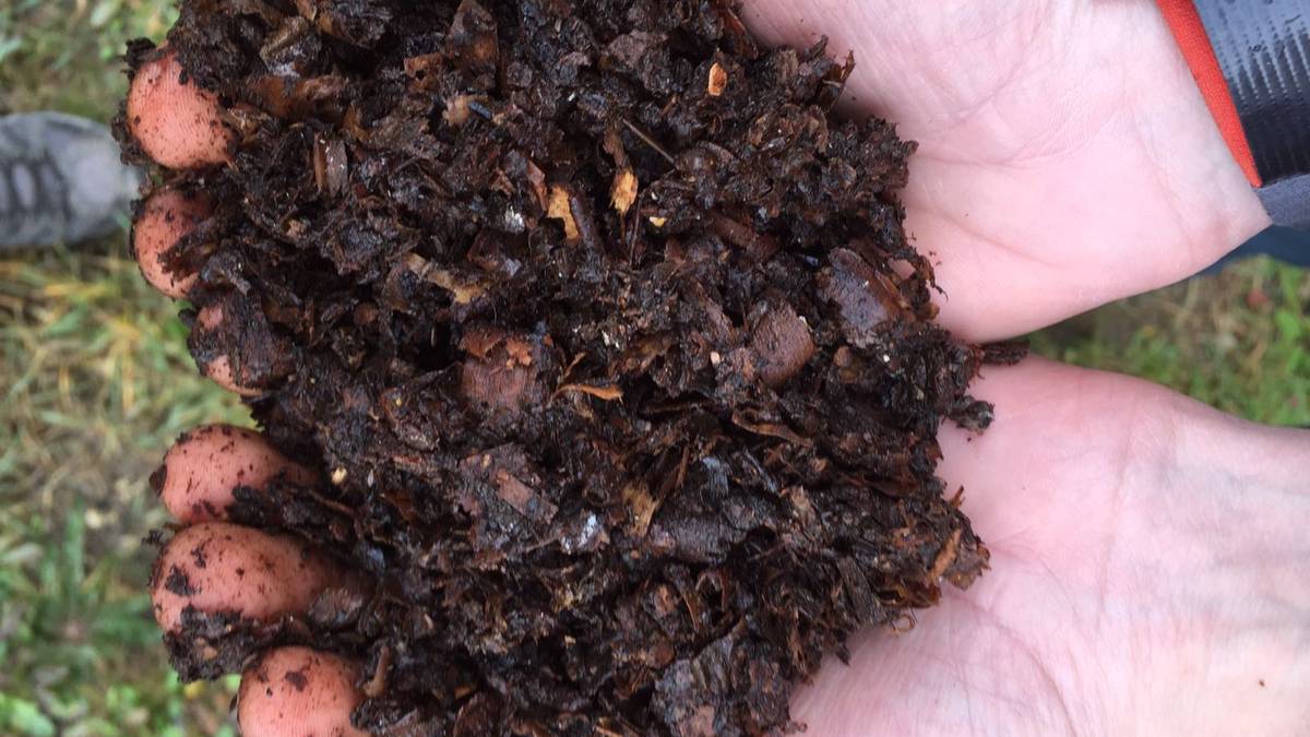 Organikoa jasotzeko bosgarren edukiontzia ezarriko du Lautadako Kuadrillak