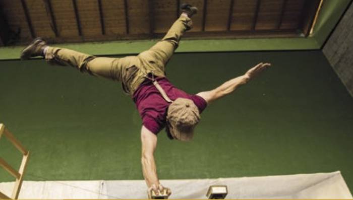 'Vademecum', Zirkozaurre