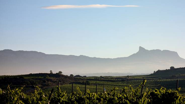 Epelago, eta arras garbia