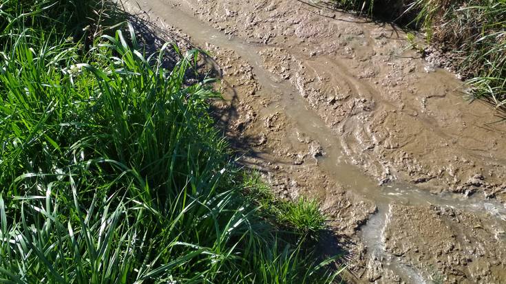 Dosierra ireki diote Estarroako abeltzaintza ustiategi bati, mindak botatzeagatik