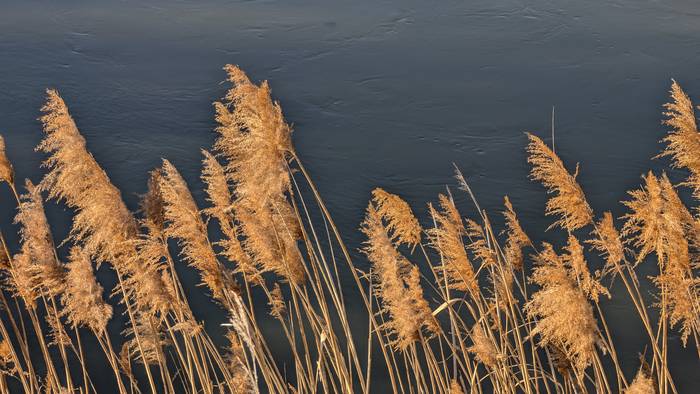 Errealitate gordinera bueltan