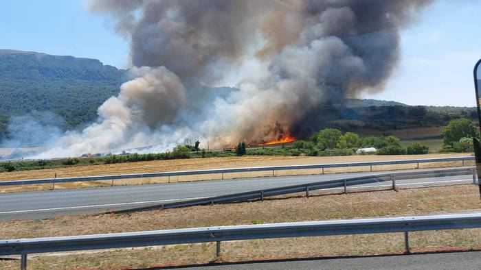 Baso suteen aurkako neurri berriak martxan