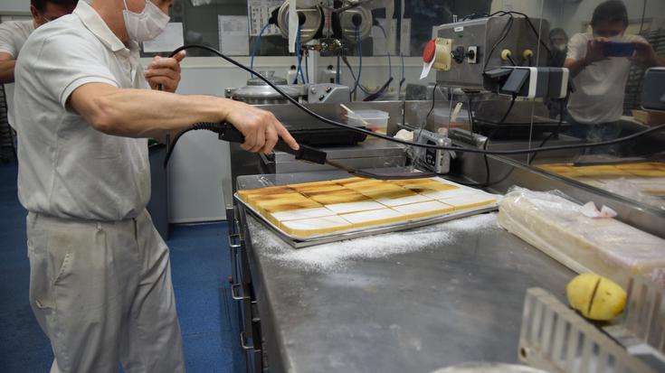 Gozogintza, urteari ginga jartzeko prest