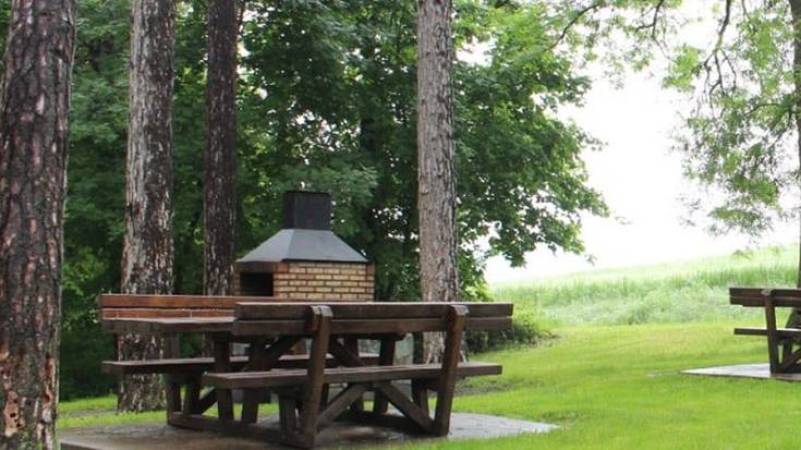 Sua egitea debekatua dago Araban, leku batzuetan salbu