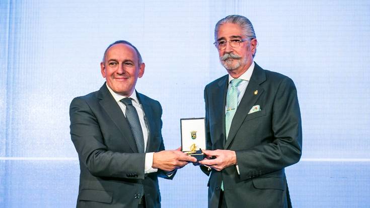 Urrezko Domina Arabako Sendagileen Elkargoari ematea proposatu du Udalak