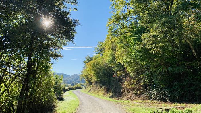 Tenperaturak amilduko dira