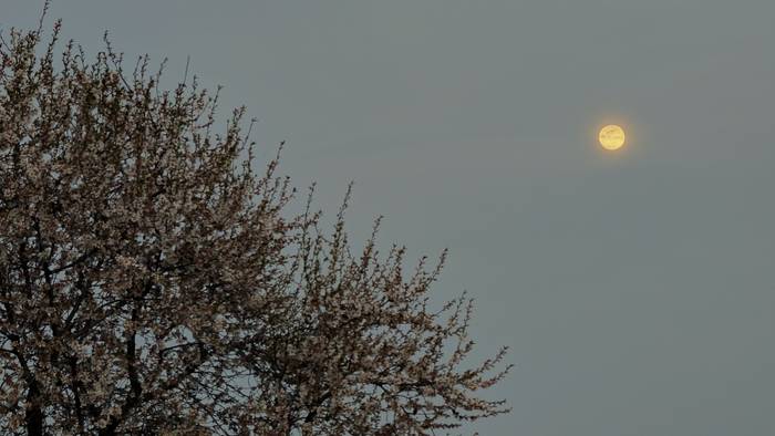 Hauts ganduaz zipriztindutako egunak