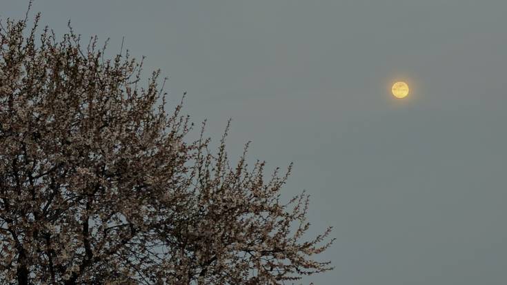 Hauts ganduaz zipriztindutako egunak